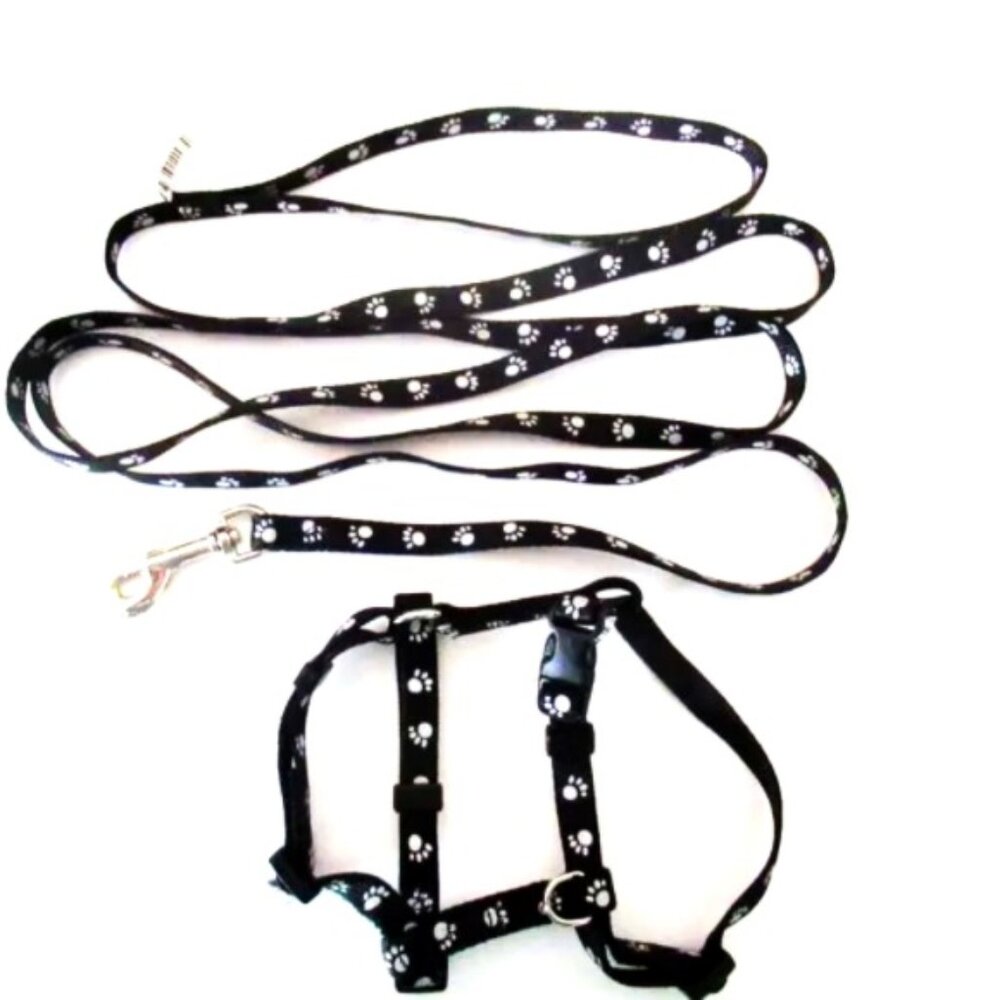 cat harness + long leash